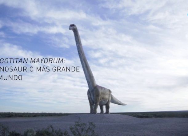 Patagotitan mayorum: el dinosaurio más grande del mundo