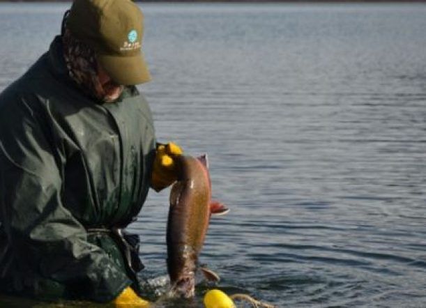 El lanzamiento de la temporada de pesca será en Trevelin