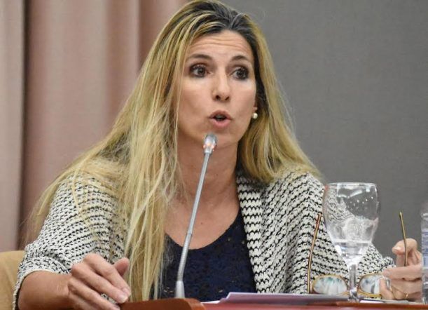 Caminoa: “Que las aseguradoras paguen a los hospitales”