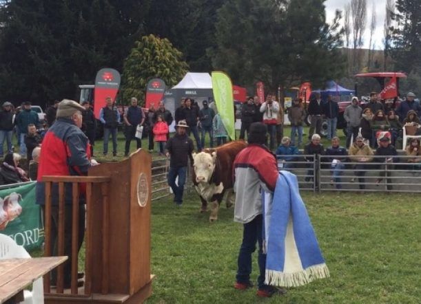 La mayor subasta de la Rural fue de $235.000