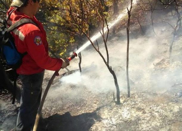 Incendio en Corcovado “por lo menos fue negligencia”