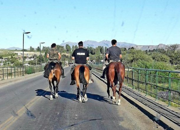 Trevelin: policía montada recuperó animales robados