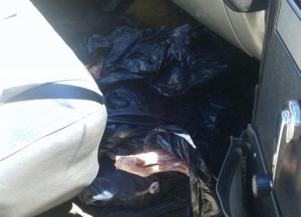 Secuestran vehículo con cinco corderos faenados