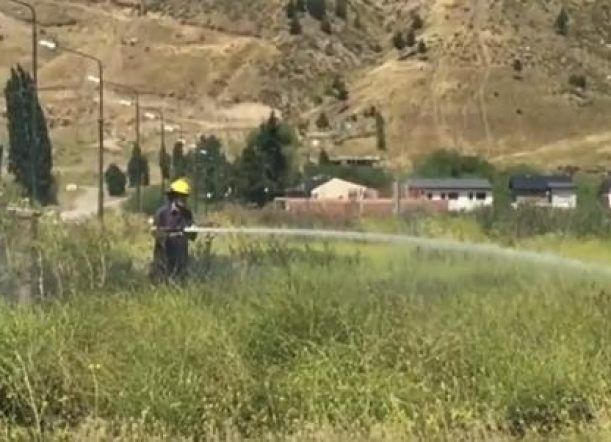 Incendio de pastizales en la avenida Irigoyen