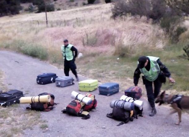 Traía 250 semillas de marihuana en ómnibus