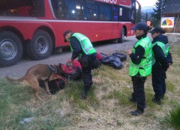 En diferentes procedimientos secuestraron más droga