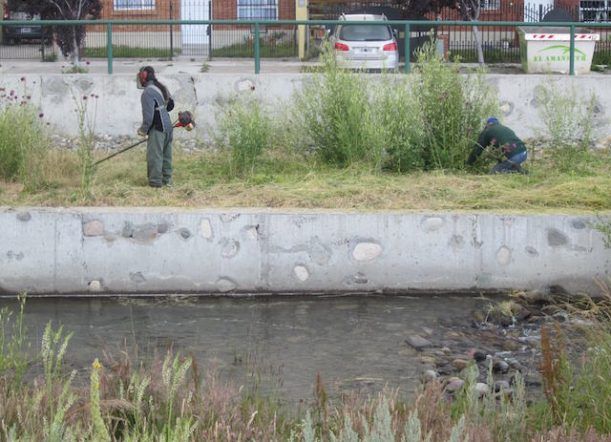 Qué pasa si no limpiás tu terreno baldío