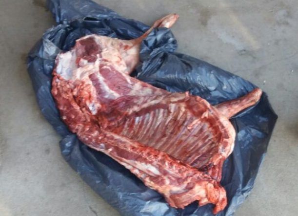 Trevelin: detienen a tres hombres por abigeato