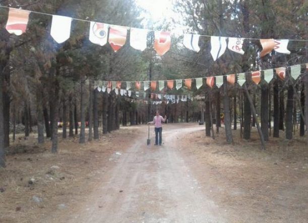 Esta tarde visitá la Feria Paseo del Pinar
