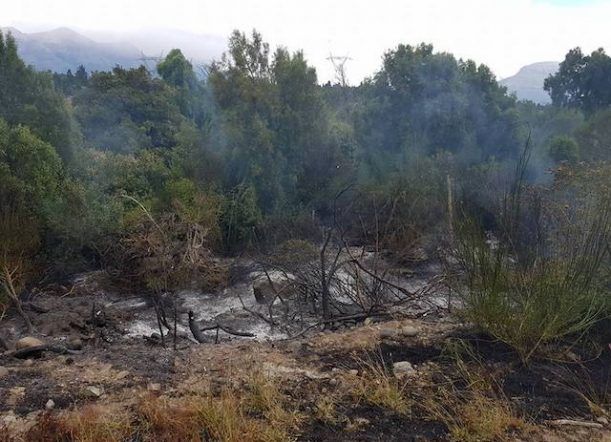 “Nunca hubo un responsable en todos los incendios del Parque”