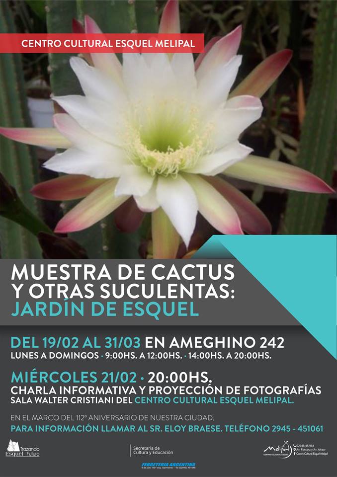 Exponen gran colección de cactus y suculentas