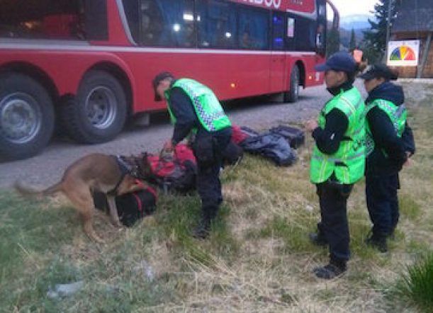 Control en La Portada detecta viajeros con marihuana