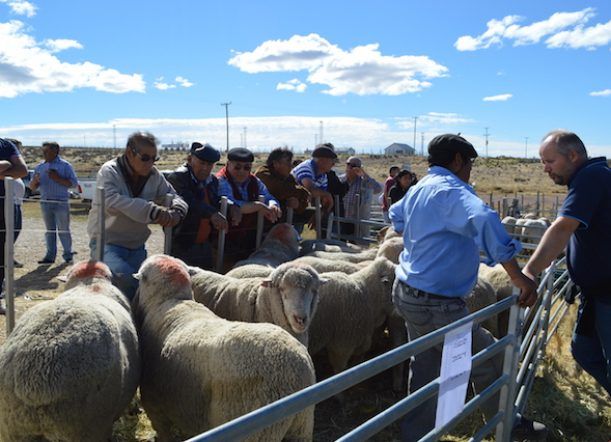 Paso de Indios: se viene una nueva edición de la Feria de carneros