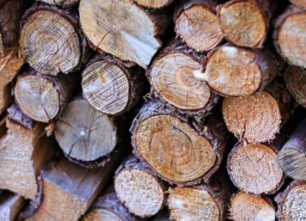 Acopian leña para comenzar reparto en abril