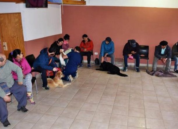 En lo que va del año, castraron a 182 mascotas