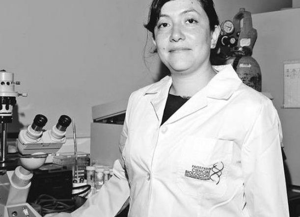 Microbióloga chilena desarrolla la cura para el hantavirus