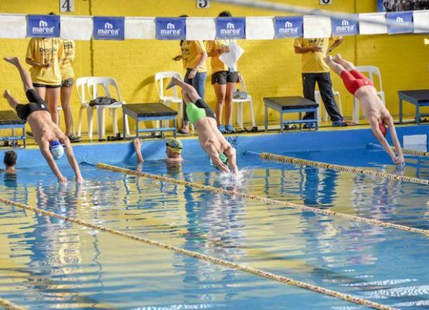 Provincial de Natación: mirá los resultados de este sábado