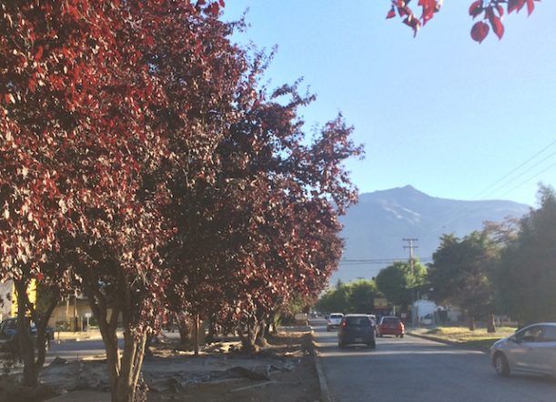 Buen fin de semana! Soleado pero inestable