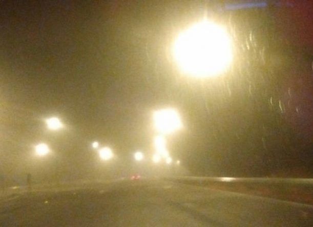 Precaución en las rutas: intensa niebla cubre la región
