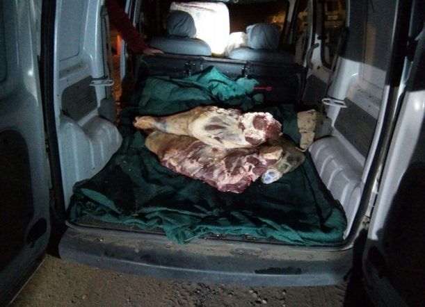 Gualjaina: detectan faena clandestina en un vehículo