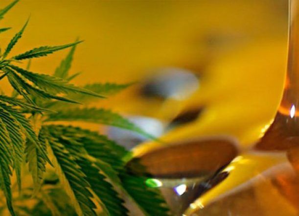 Advierten sobre la venta de aceite de cannabis trucho