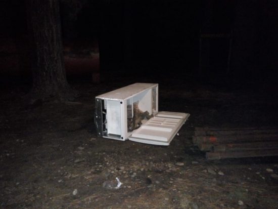 El Hoyo: Destrozos en la Brigada de Incendios Golondrinas
