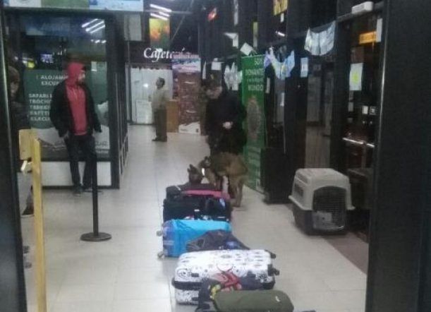 Secuestran cannabis en el control de la Terminal de Omnibus