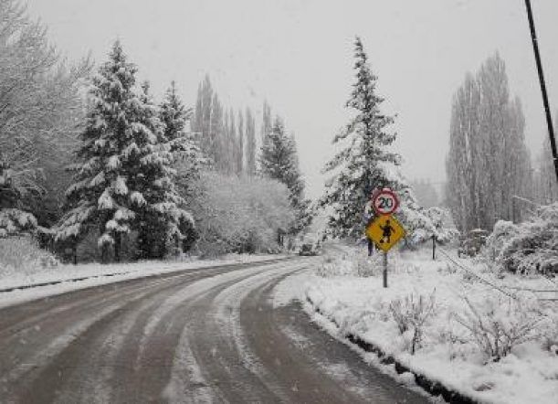 ¿Vas a viajar? Mirá cómo están las rutas