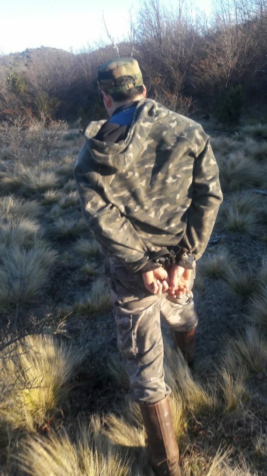 Un detenido por tentativa de abigeato
