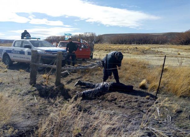 Tecka: intentaban robar y agredieron a la policía