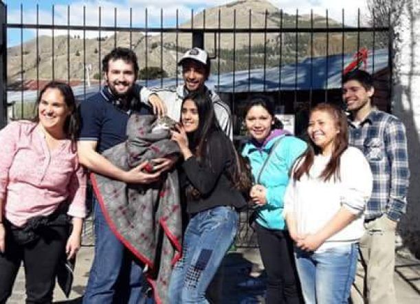 Final feliz para el gato que fue rescatado del árbol