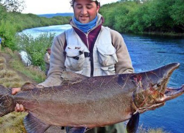 Se habilita la temporada de pesca del Salmón de Pacífico