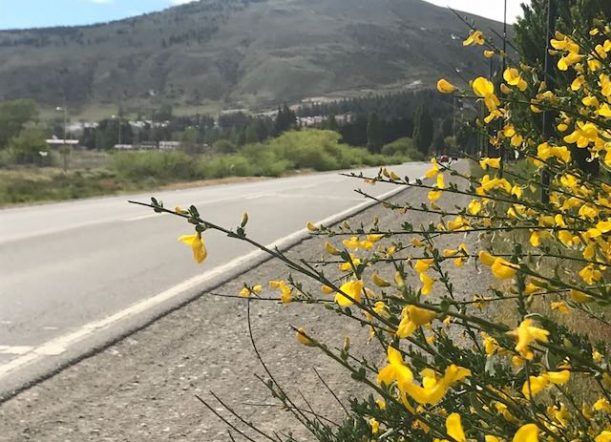 Miércoles fresco con probabilidad de lluvias