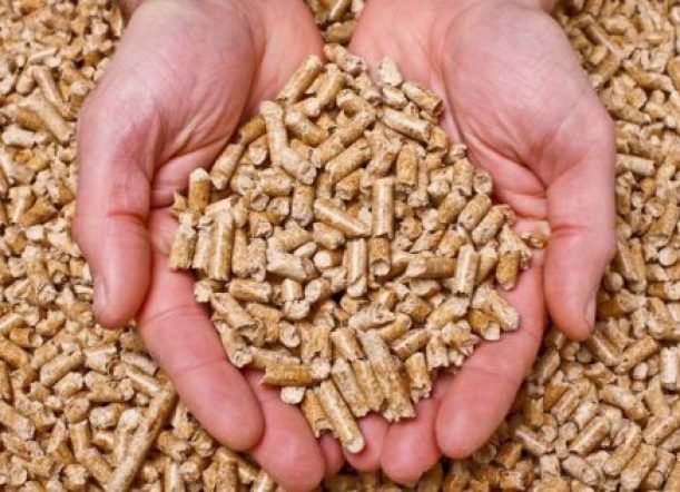 Calefacción a chips: Crece el interés en edificios públicos