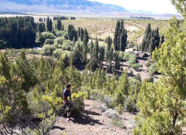 Recuperan lanares robados en El Maitén