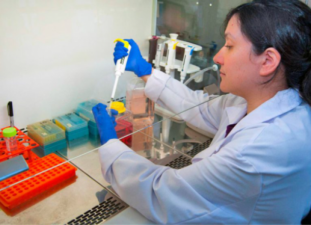 Microbióloga chilena desarrolló un tratamiento para el Hanta