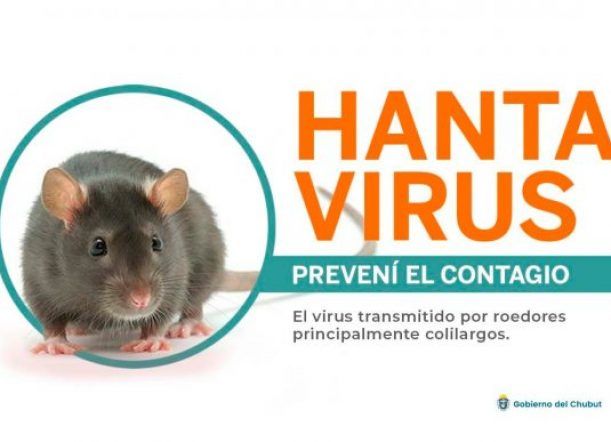 Recordá las medidas de prevención y síntomas de hantavirus