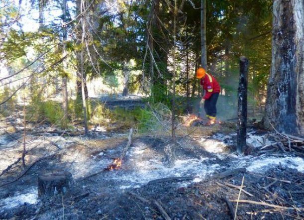 Incendio: el fuego permite el trabajo de las brigadas