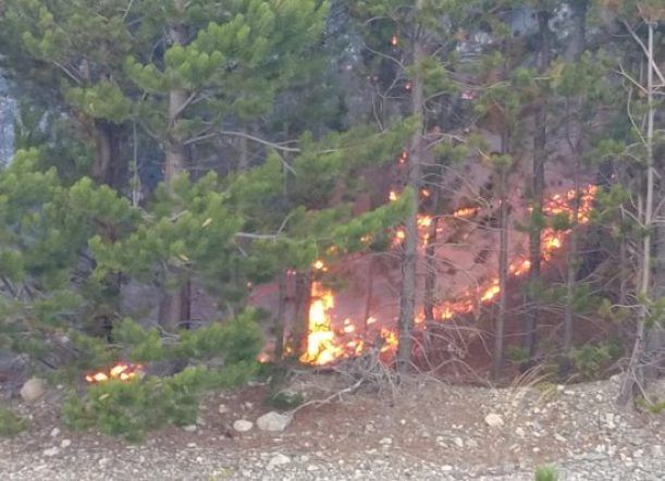 Incendio en Epuyén: liberaron la RN40 con extrema precaución