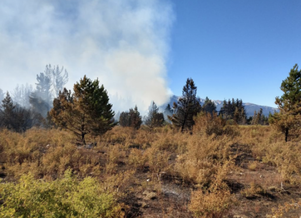 Suman refuerzos para controlar el incendio en Epuyén