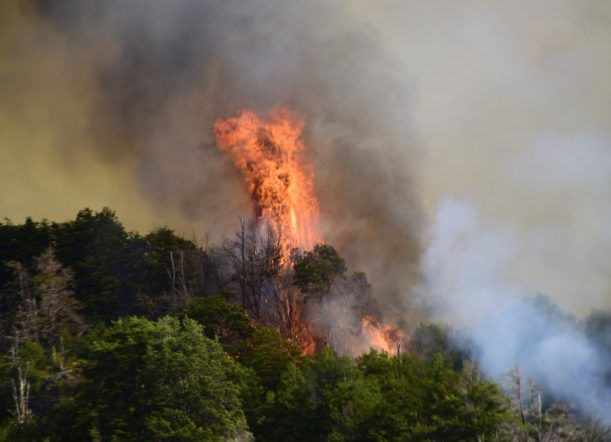 Continúa sin control el incendio en Futaleufú