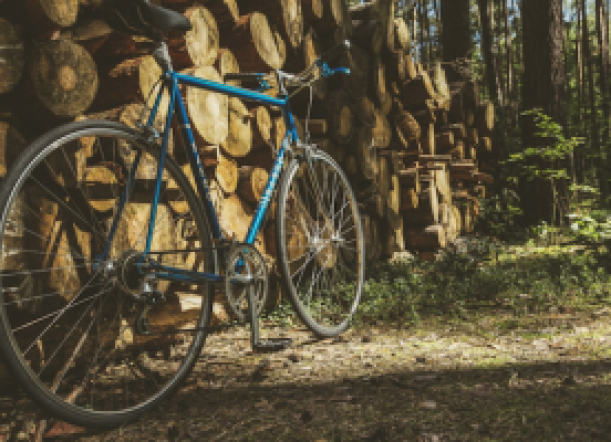 Lo agarraron in fraganti robando una bici