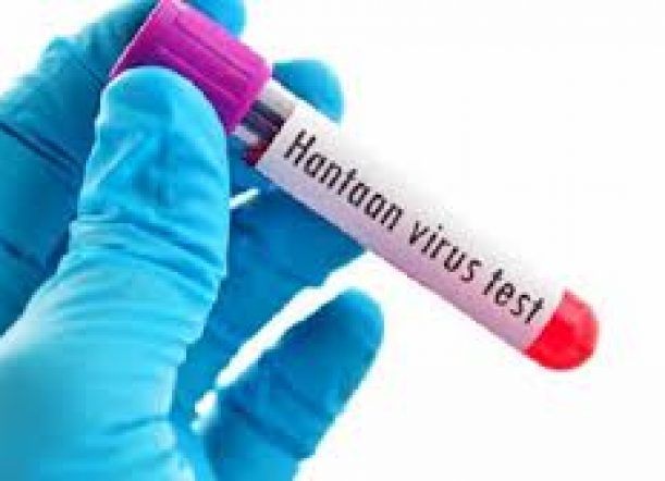 Un antiviral logró respuesta positiva en 4 pacientes con hanta