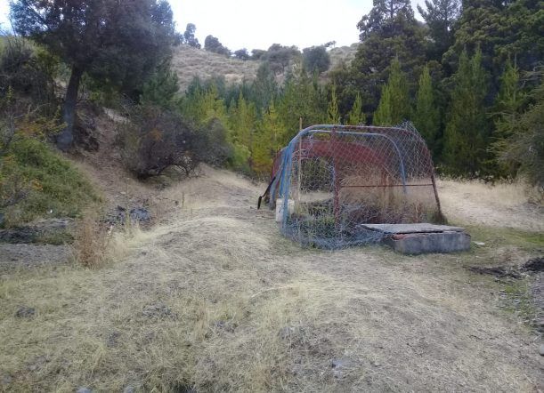 Investigan si el niño ahogado sufrió un ataque epiléptico