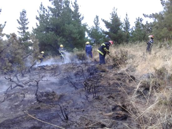 Un incendio próximo a Villa Ayelén generó un gran despliegue