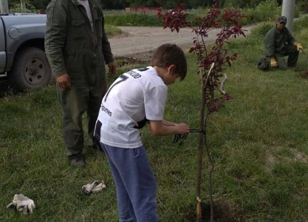 Si querés tener un árbol en tu vereda, #Mirá