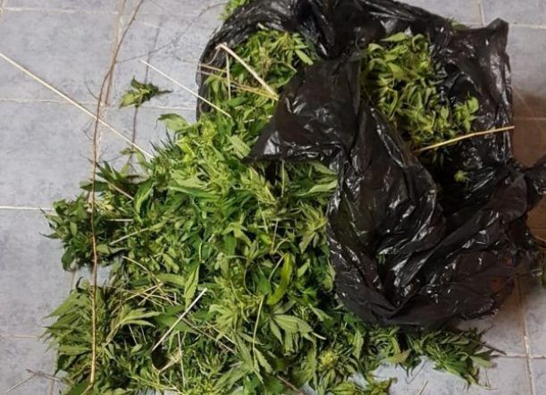 Dejaron dos kilos de marihuana en la ruta, los identificaron