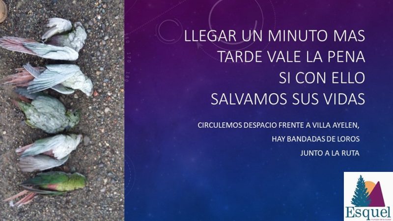 ¡Llegaron las cachañas! Te contamos mitos y verdades