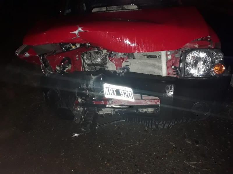 Embistió una vaca en la ruta Esquel-Trevelin