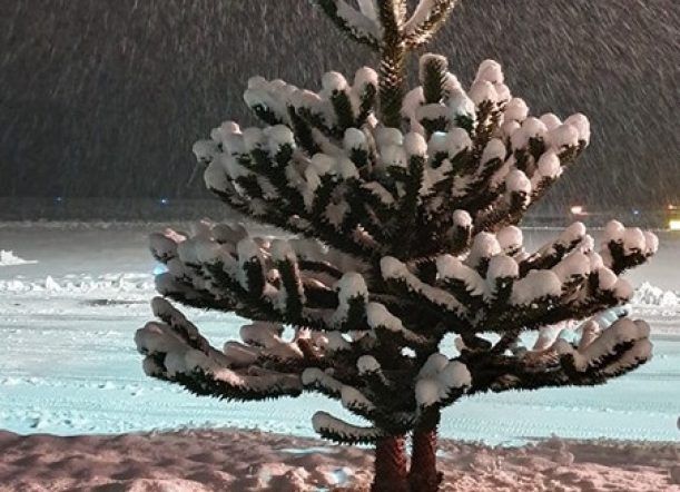 Llegó la primera nevada a Esquel